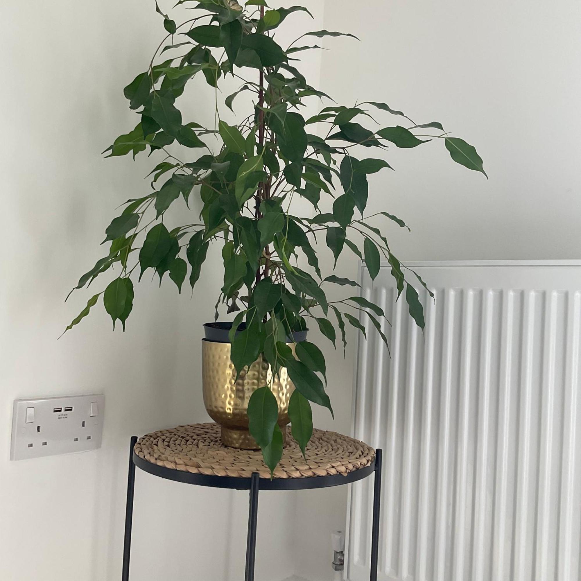 The Parkes A Stylish 3Br House, 5 Mins From Central Birmingham Close To The Edgbaston Stadium, The Hippodrome, Uob, Aston And Bcu, China Town, Kings Heath Bhx Airport And Much More Exterior photo